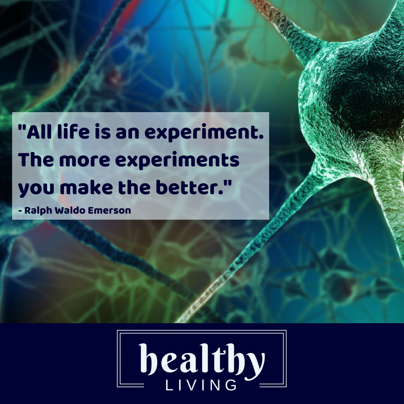 Embrace life, experiment often.