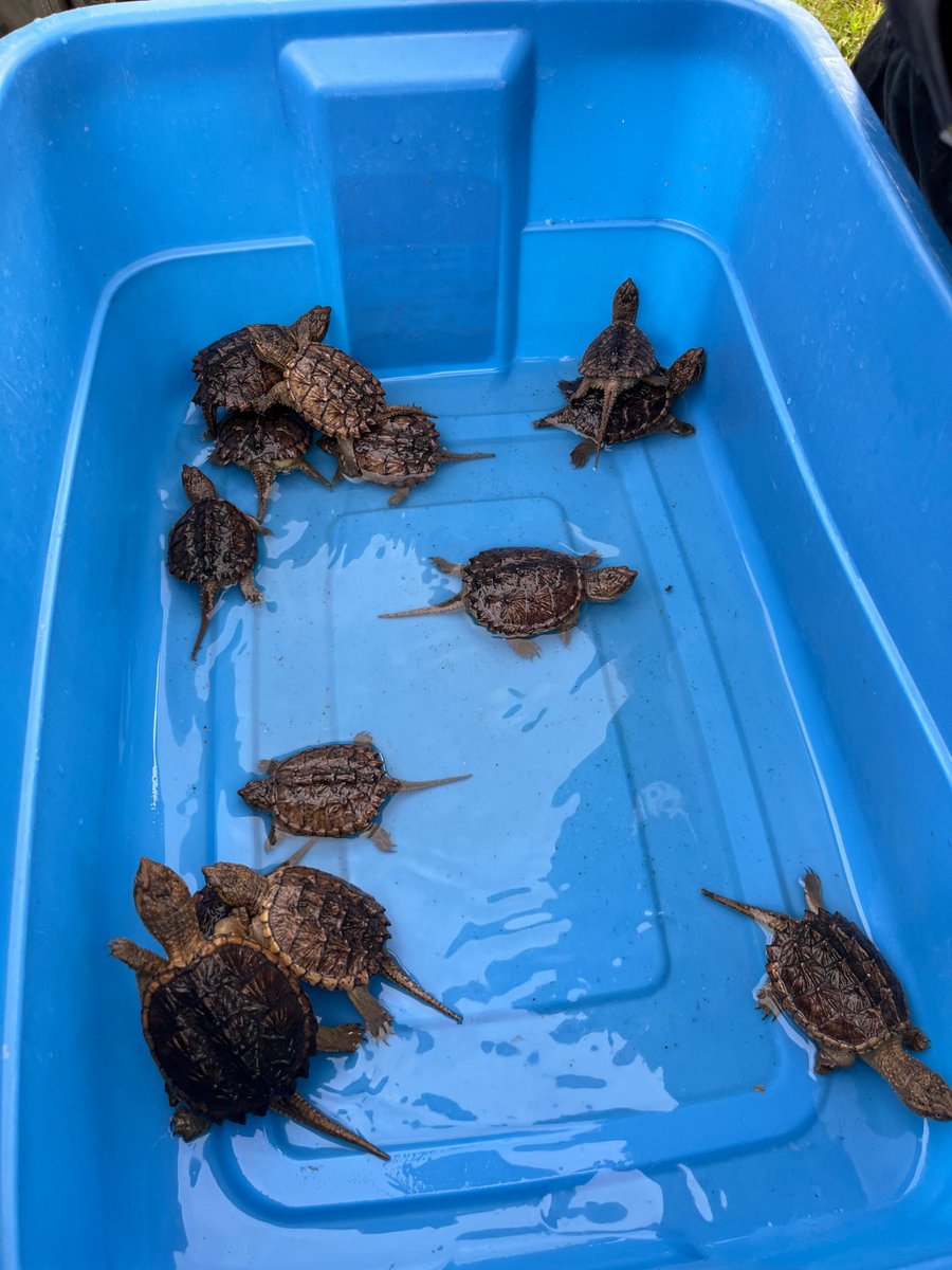 Dave Smith tweet media