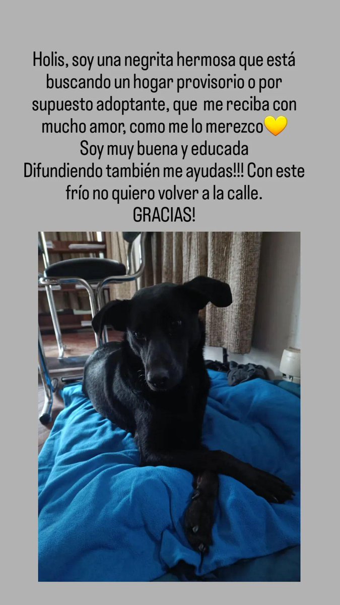 eslachule's tweet photo. @VivireNuevaCba @VivirEnNuevaCba https://t.co/qyiKve9Bt9
