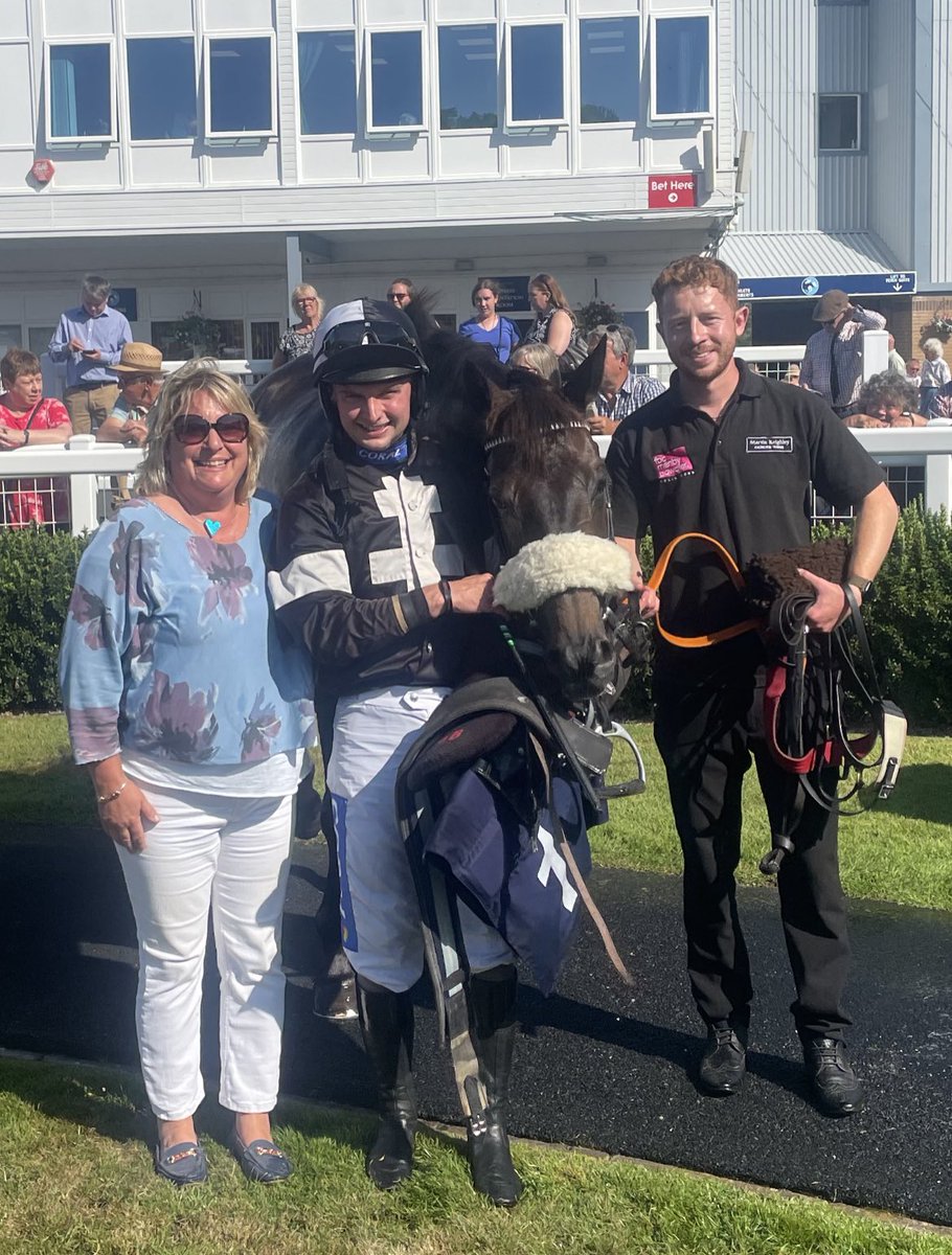 Buzzy Bee tweet media