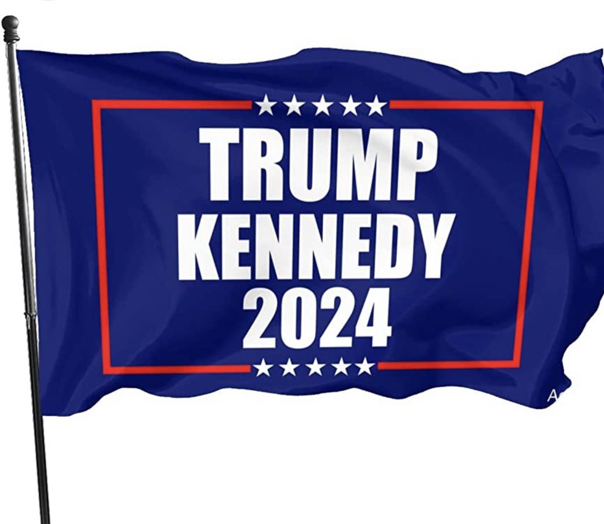 RogerJStoneJr's tweet image. The more I think about it, the  more I like this idea.....#TrumpKennedy24