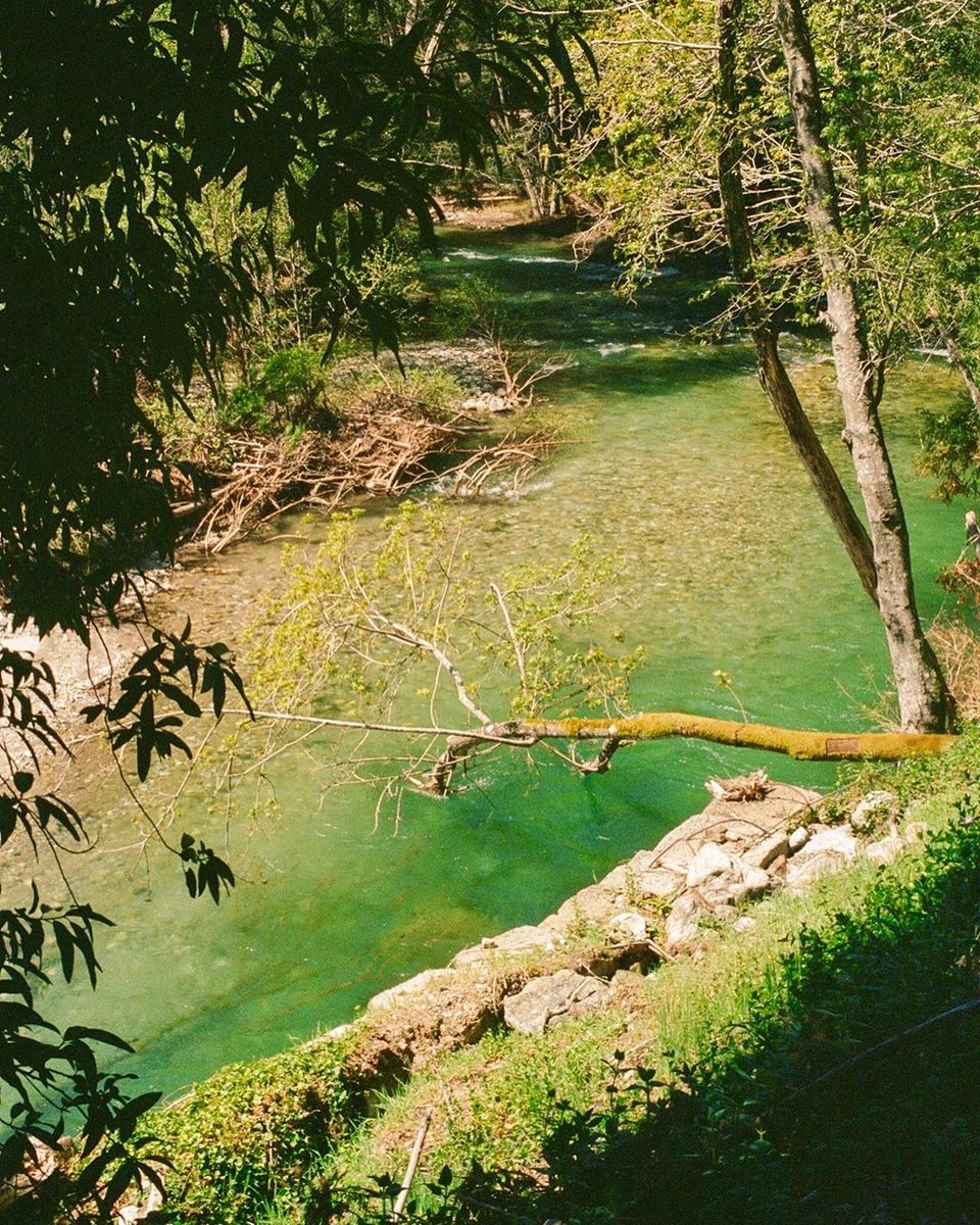 #FeatureFriday: Nature's reel in motion: A tranquil creek captured on 35mm film at Pfeiffer Big Sur State Park. Join our photo of the month contest by tagging us at @calparks and using the hashtag #MyCAStateParks!
📷 by Renee @filmpotato_ via Instagram: ow.ly/Hnzb50P5xz1