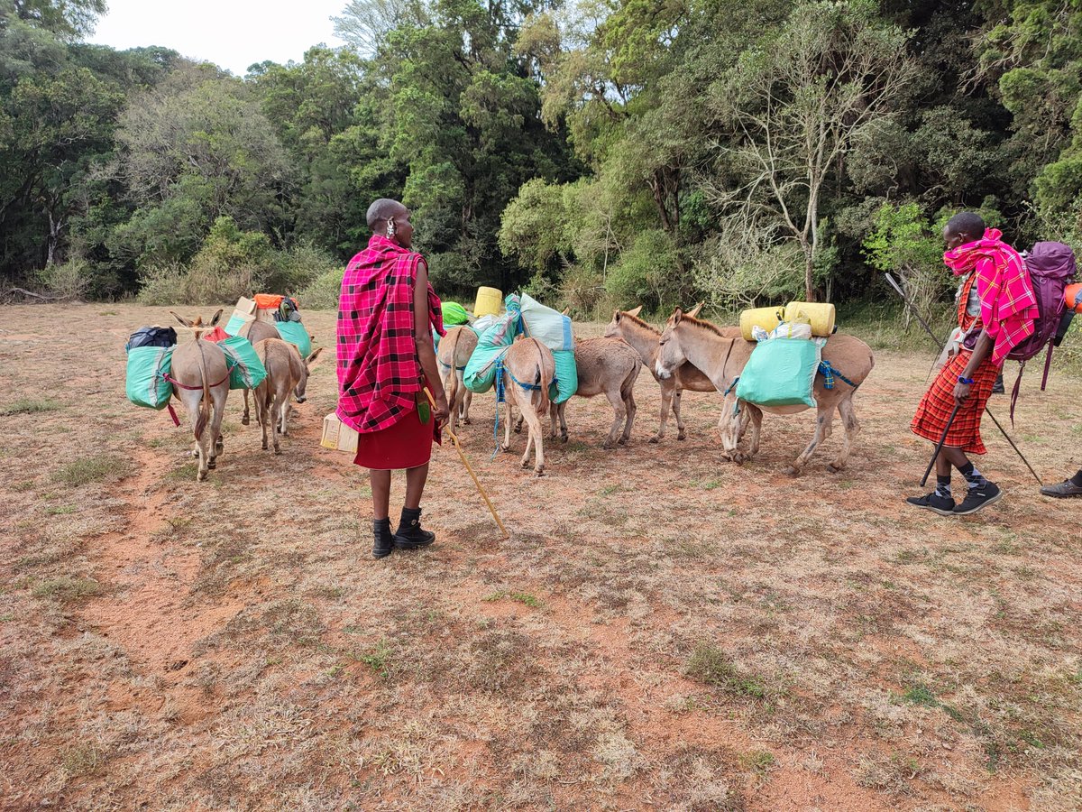 Kiprono Leting (@kipronoleting) on Twitter photo LOITA HILLS (Thread)
A unique 4-day wild camping hike in Narok County. We used donkeys to carry our gear and supplies.
#chamuhimuhikes LOITA HILLS (Thread)
A unique 4-day wild camping hike in Narok County. We used donkeys to carry our gear and supplies.
#chamuhimuhikes