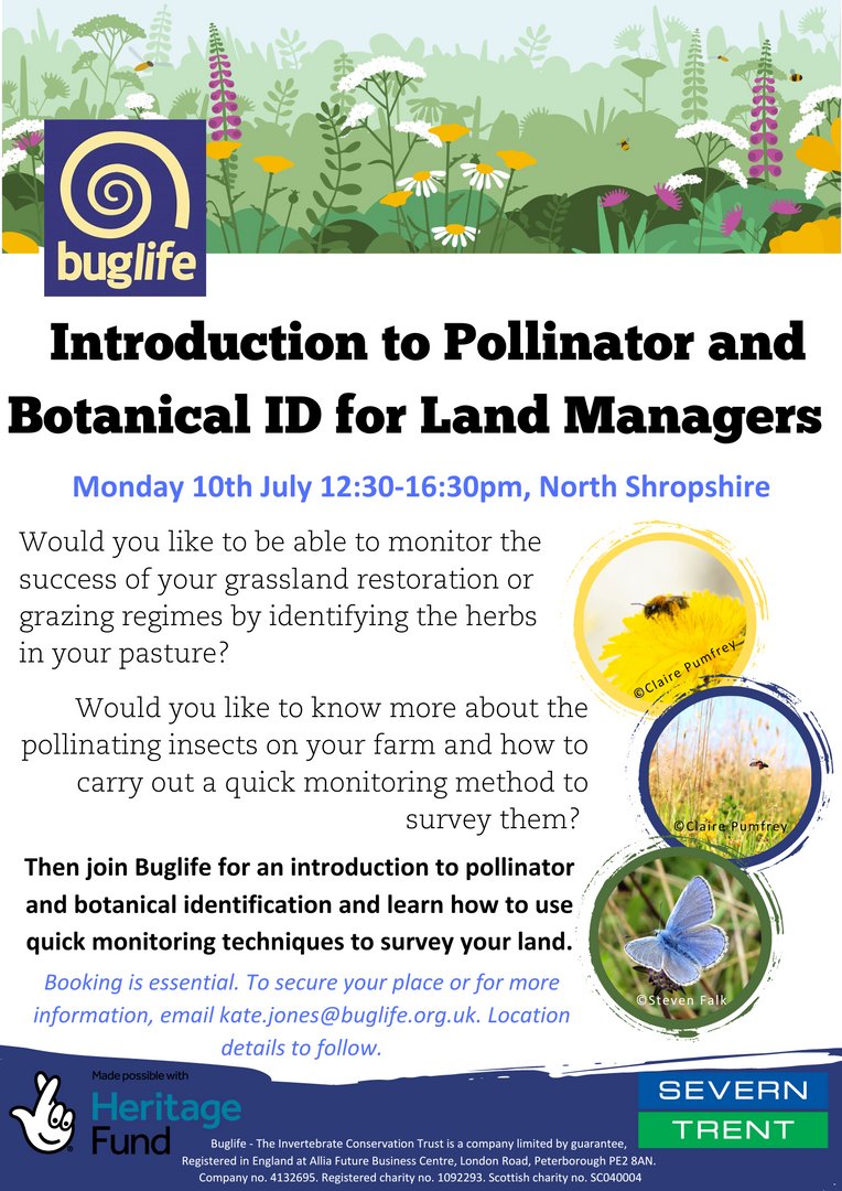 Buglife (@buzz_dont_tweet) on Twitter photo Join Get the Marches Buzzing for "๐ด๐ ๐ผ๐๐ก๐๐๐๐ข๐๐ก๐๐๐ ๐ก๐ ๐๐๐๐๐๐๐๐ก๐๐ ๐๐๐ ๐ต๐๐ก๐๐๐๐๐๐ ๐ผ๐ท ๐๐๐ ๐ฟ๐๐๐ ๐๐๐๐๐๐๐๐ "
๐๏ธ Monday 10 July
๐ง 12:30-16:30
๐ North Shropshire
<a href="/stwater/">Severn Trent</a> <a href="/HeritageFundUK/">The National Lottery Heritage Fund</a> <a href="/FarmWildlifeUK/">Farm Wildlife</a> Join Get the Marches Buzzing for "๐ด๐ ๐ผ๐๐ก๐๐๐๐ข๐๐ก๐๐๐ ๐ก๐ ๐๐๐๐๐๐๐๐ก๐๐ ๐๐๐ ๐ต๐๐ก๐๐๐๐๐๐ ๐ผ๐ท ๐๐๐ ๐ฟ๐๐๐ ๐๐๐๐๐๐๐๐ "
๐๏ธ Monday 10 July
๐ง 12:30-16:30
๐ North Shropshire
<a href="/stwater/">Severn Trent</a> <a href="/HeritageFundUK/">The National Lottery Heritage Fund</a> <a href="/FarmWildlifeUK/">Farm Wildlife</a>