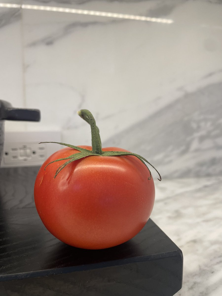 MILFWEEED's tweet photo. may I offer you this picture of a beautiful tomato in your trying times?? https://t.co/Oim0NGQe2D