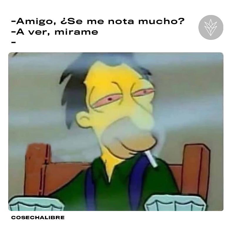Yo te veo joya bro