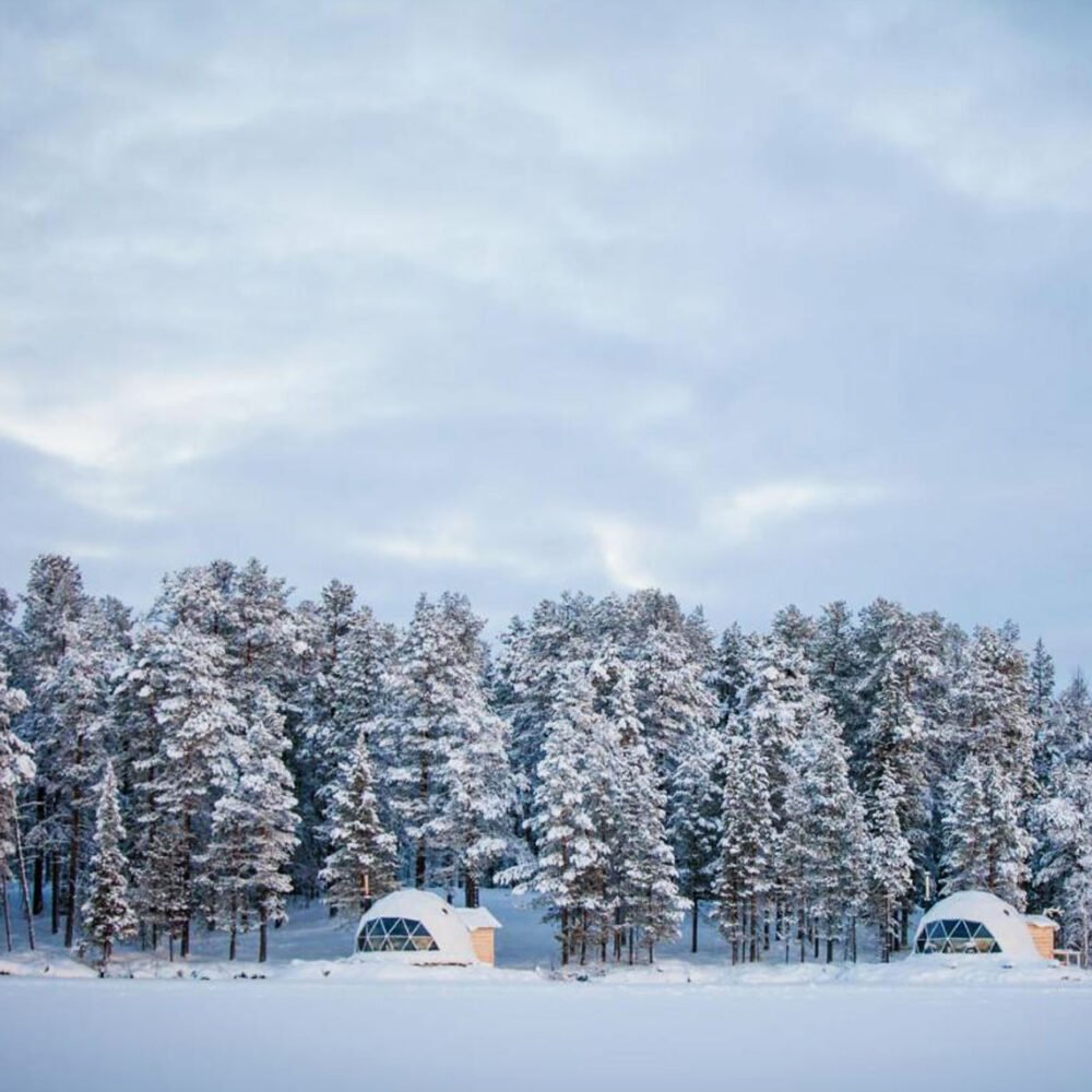 mlayten's tweet photo. @rileyharden Turn my property into  a yurt resort here in the northwoods with a emphasis on fiber arts (knitting, crochet, spinning, etc) and used books.  Also have ATV and snowmobile rentals and hunting info.    Definitely have transparent roofs for stargazing/northern lights. https://t.co/QIlnJYRM7u