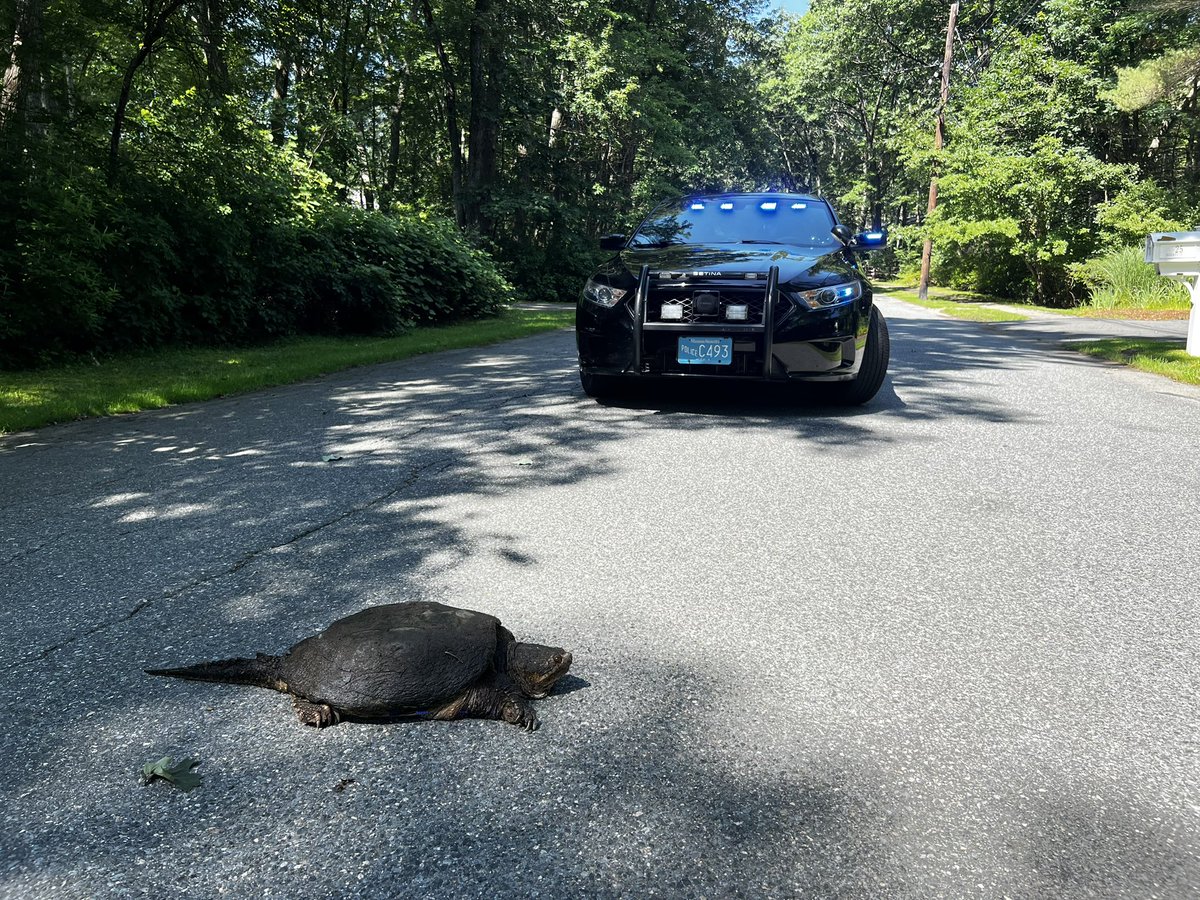 Sherborn MA Police tweet media