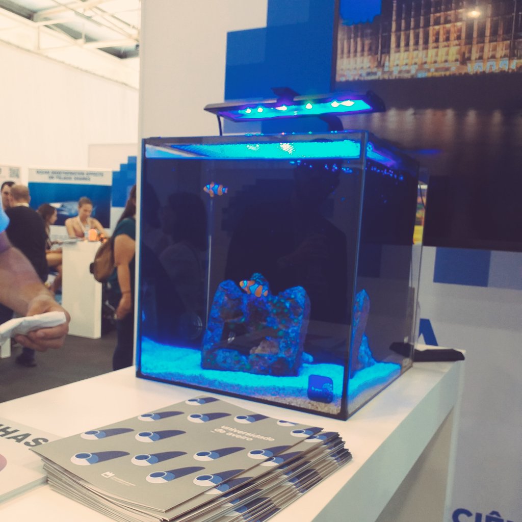 SeaToxLab (@seatoxlab) on Twitter photo ...great to meet old friends of <a href="/seatoxlab/">SeaToxLab</a> in <a href="/encontrociencia/">Encontro Ciência</a> : <a href="/DianaSMadeira/">Diana Madeira</a> and her sister's, <a href="/SCMadeira/">Carolina Madeira</a>, special 'nemos', courtesy of @CESAM_Univ.
____
<a href="/UCIBIO_Research/">UCIBIO</a>
<a href="/i4HBio/">i4HB Institute for Health and Bioeconomy</a>
<a href="/FCTNOVA/">Faculdade de Ciências e Tecnologia | NOVA FCT</a>
#Biology
#MarineBiology
#Fish ...great to meet old friends of <a href="/seatoxlab/">SeaToxLab</a> in <a href="/encontrociencia/">Encontro Ciência</a> : <a href="/DianaSMadeira/">Diana Madeira</a> and her sister's, <a href="/SCMadeira/">Carolina Madeira</a>, special 'nemos', courtesy of @CESAM_Univ.
____
<a href="/UCIBIO_Research/">UCIBIO</a>
<a href="/i4HBio/">i4HB Institute for Health and Bioeconomy</a>
<a href="/FCTNOVA/">Faculdade de Ciências e Tecnologia | NOVA FCT</a>
#Biology
#MarineBiology
#Fish