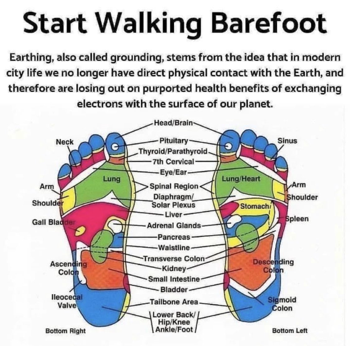 sebeu854's tweet image. 😂
#dankmemesdaily #memepages #dankmemes #memepage #funnytwitter #funnymemes #memesdaily #memez #laugh #viralmeme #funnymemez #memeprofile #memers #dankmeme #monthly #jokesdaily #memesweekly #freshmemes #memesaccount #dankmemezdaily #profiles #edgymemes #dankmemesig #dailymeme