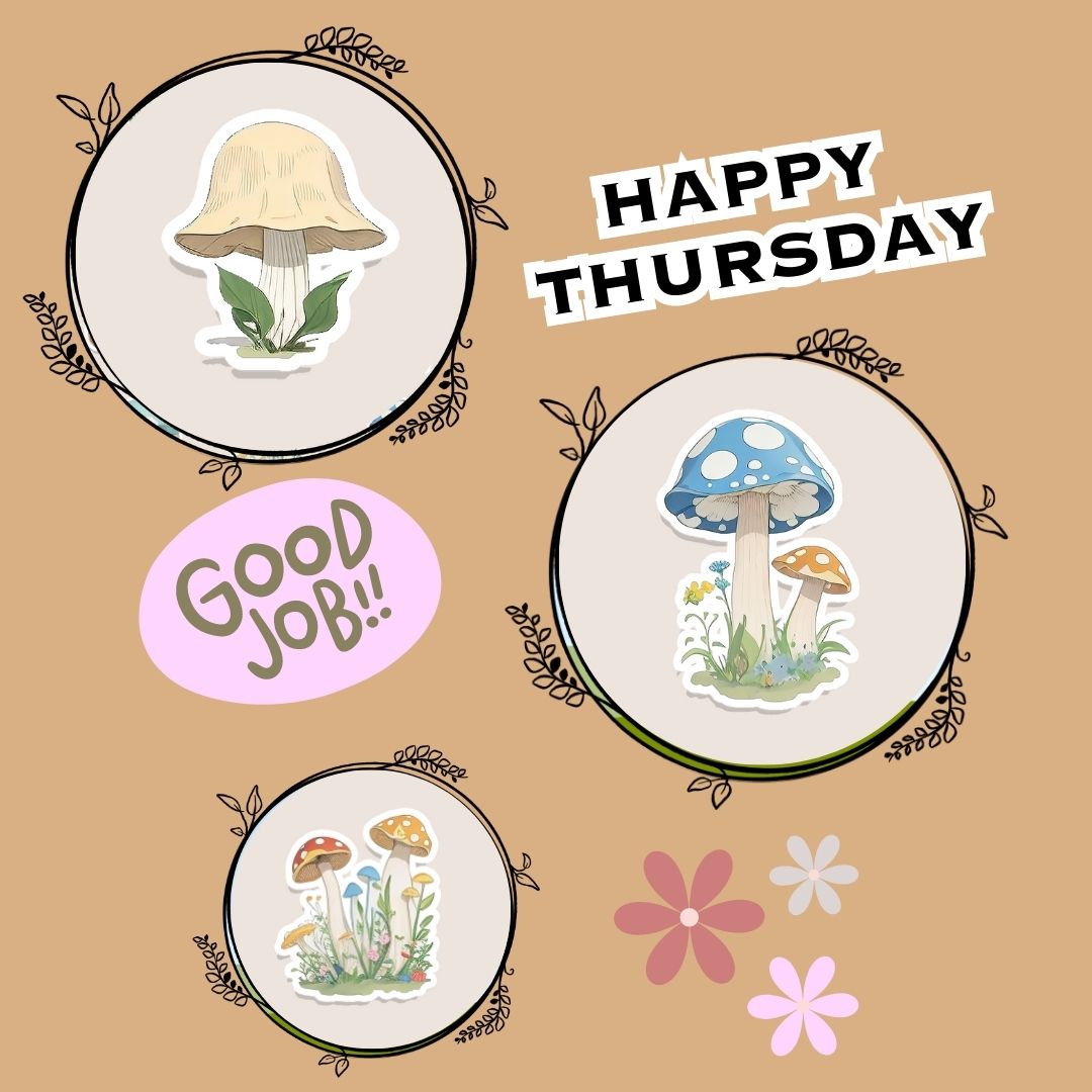 soulthings_'s tweet image. 🍄Buy these Beautiful Stickers by Clicking the link 🍄
etsy.com/uk/UniqueSoulT…

#business #digitalstickers #mushroom #digitalplanner #ipad #digitals #uniquesoulthings