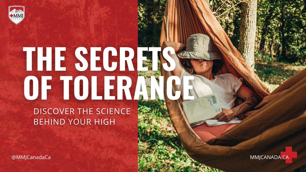 Is Your High Losing Its Magic? ✨ Find out why your tolerance may be on the rise and how it affects your overall experience.

mmjcanada.ca/2022/12/13/how…

#Wellness #Health #Hamilton #Hamont #Vancouver #MMJCanada #TGIF