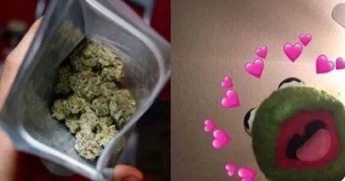 AI_CLIPs_Daily's tweet photo. How I see my weed vs how my weed sees me https://t.co/SEWaViodO6