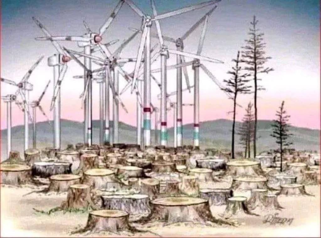 Agenda2030_'s tweet photo. Los que talan árboles para poner parques eólicos, son los mismos que van en jets privados a las cumbres del clima. Y serás feliz. https://t.co/lIcUz91BsK