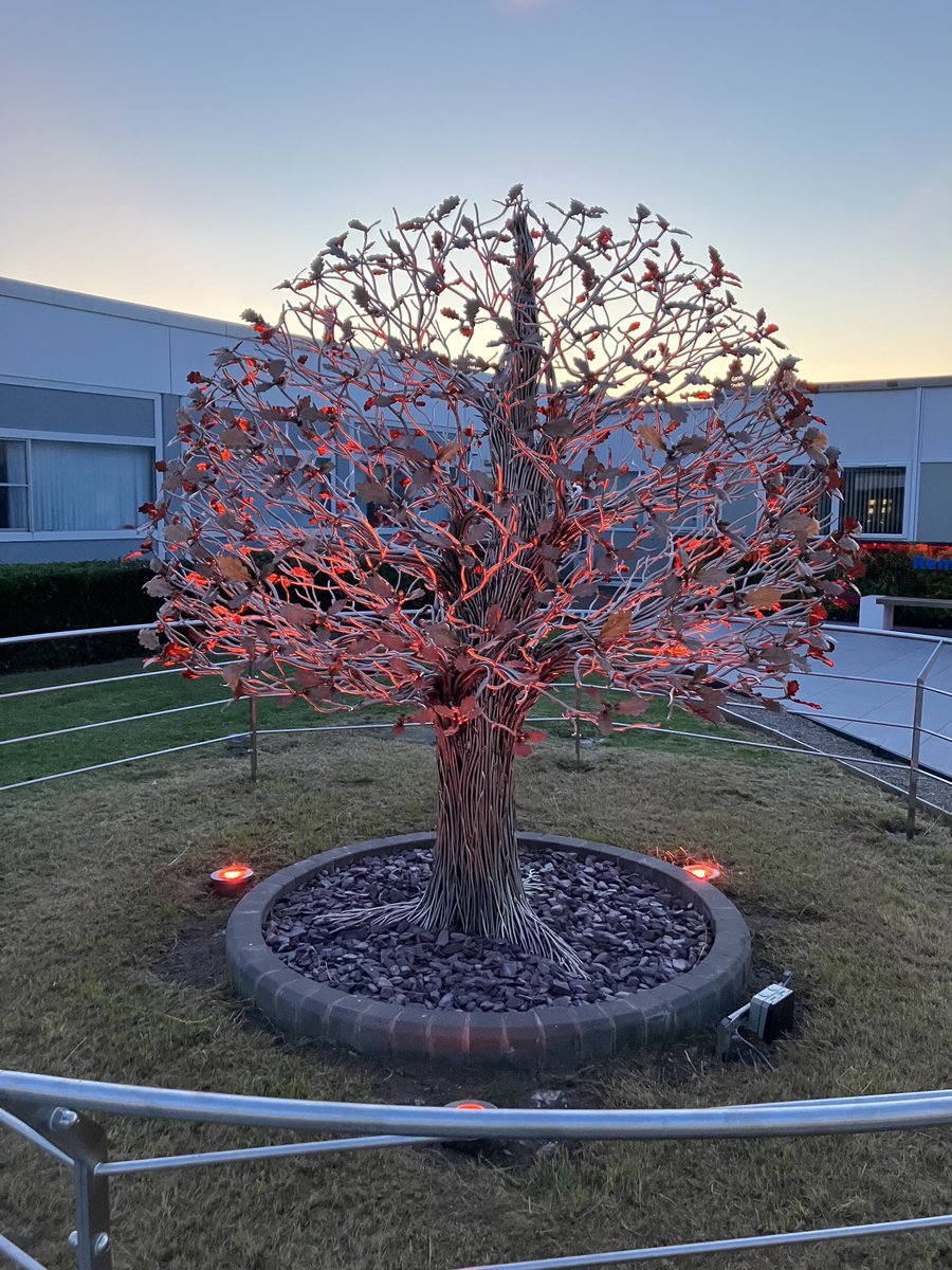 Jeremy Bruce Ward tweet media