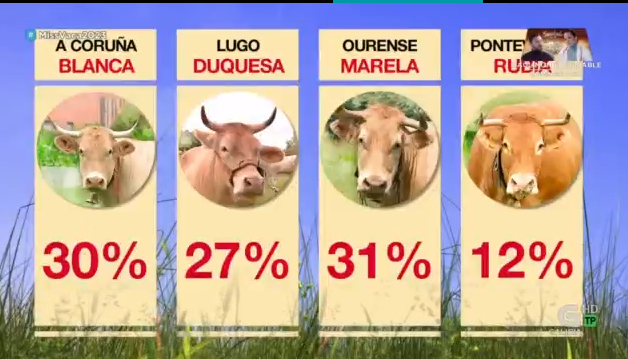 luartvg's tweet photo. Avanza a noite e... SORPASSO de Ourense!
#Marela #MissVaca2022 https://t.co/y24WEHnUAh