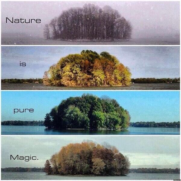 occultbot (@0ccultbot) on Twitter photo 