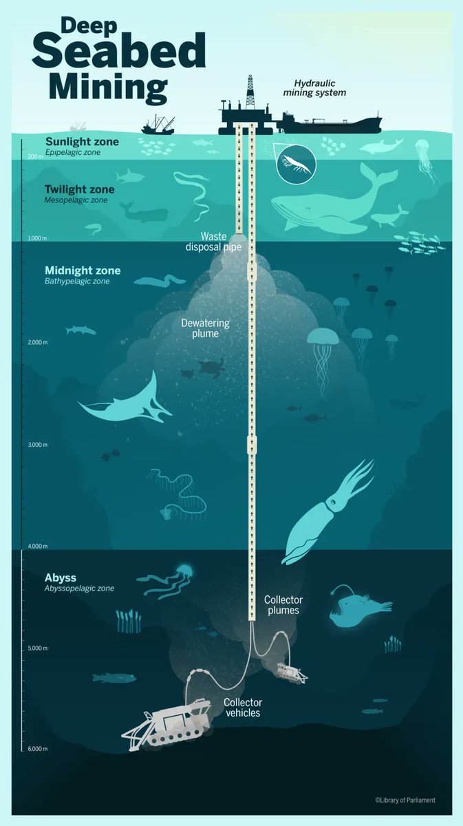 Pickaxe_Master's tweet photo. Did you know that underwater mining is becoming a reality?
Companies extract valuable minerals like cobalt and manganese from the ocean floor in hydrothermal vents. It meets global resource demand but raises environmental concerns.
#underwatermining #sandfam #funfact https://t.co/sK63lFsC5c