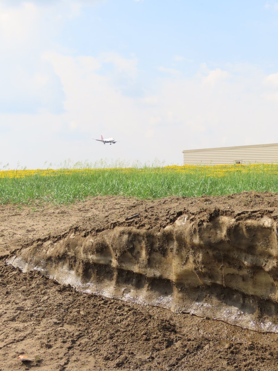 MSP Airport tweet media