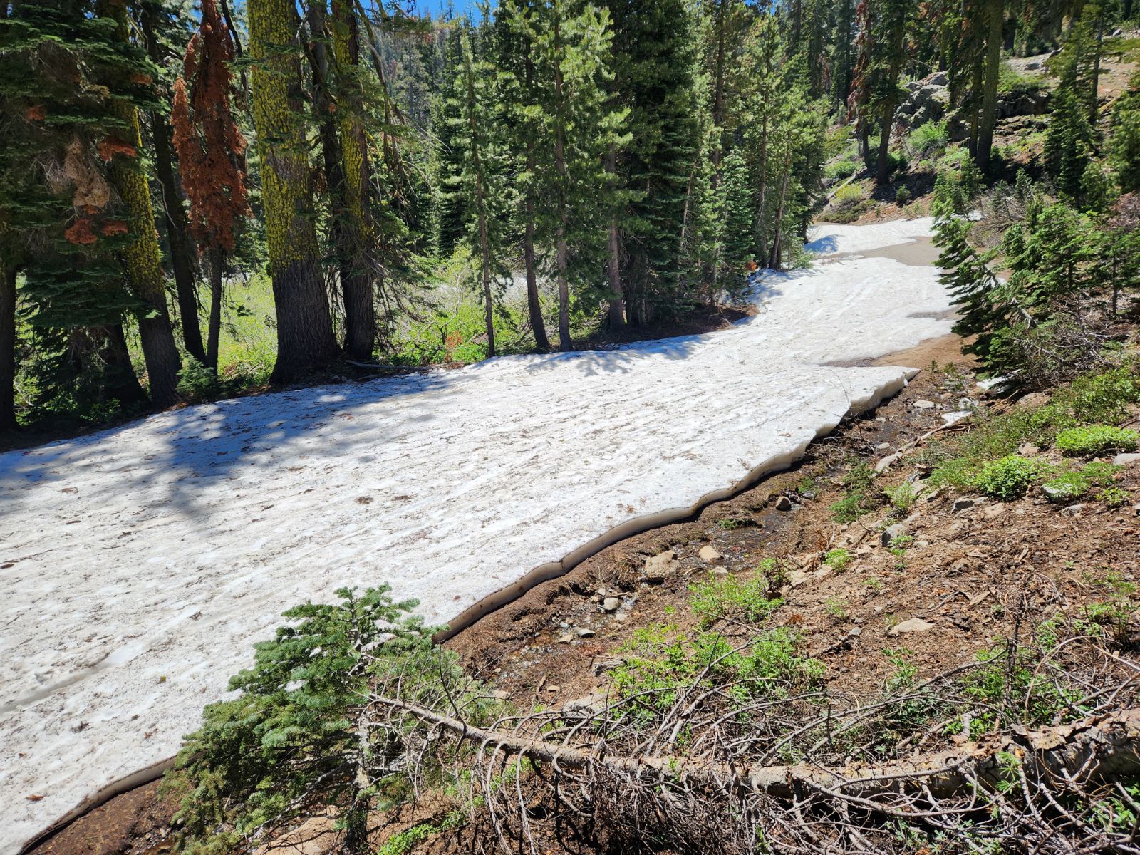 lake-tahoe-usfs-on-twitter-heads-up-barker-pass-road-enthusiasts