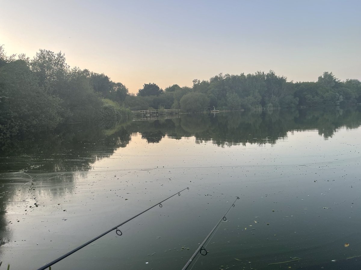 Paul Wood tweet media