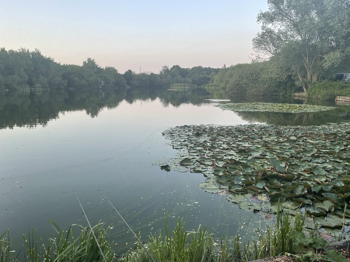 Paul Wood tweet media