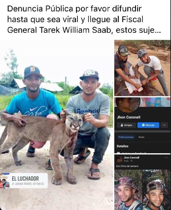 adrian143's tweet photo. Jhon y Jaider Coronel del Dorado, Edo. Bolivar se dedican a matar fauna silvestre en la zona. Montaron las fotos en Facebook para luego borrarlas. Favor etiquetar al Sr fiscal que me tiene bloqueado @PerroUsuario @FRAENKELE @freekees1 @AlexaGomezDos @Mary_Jar @doug https://t.co/eDR6ra4xyQ