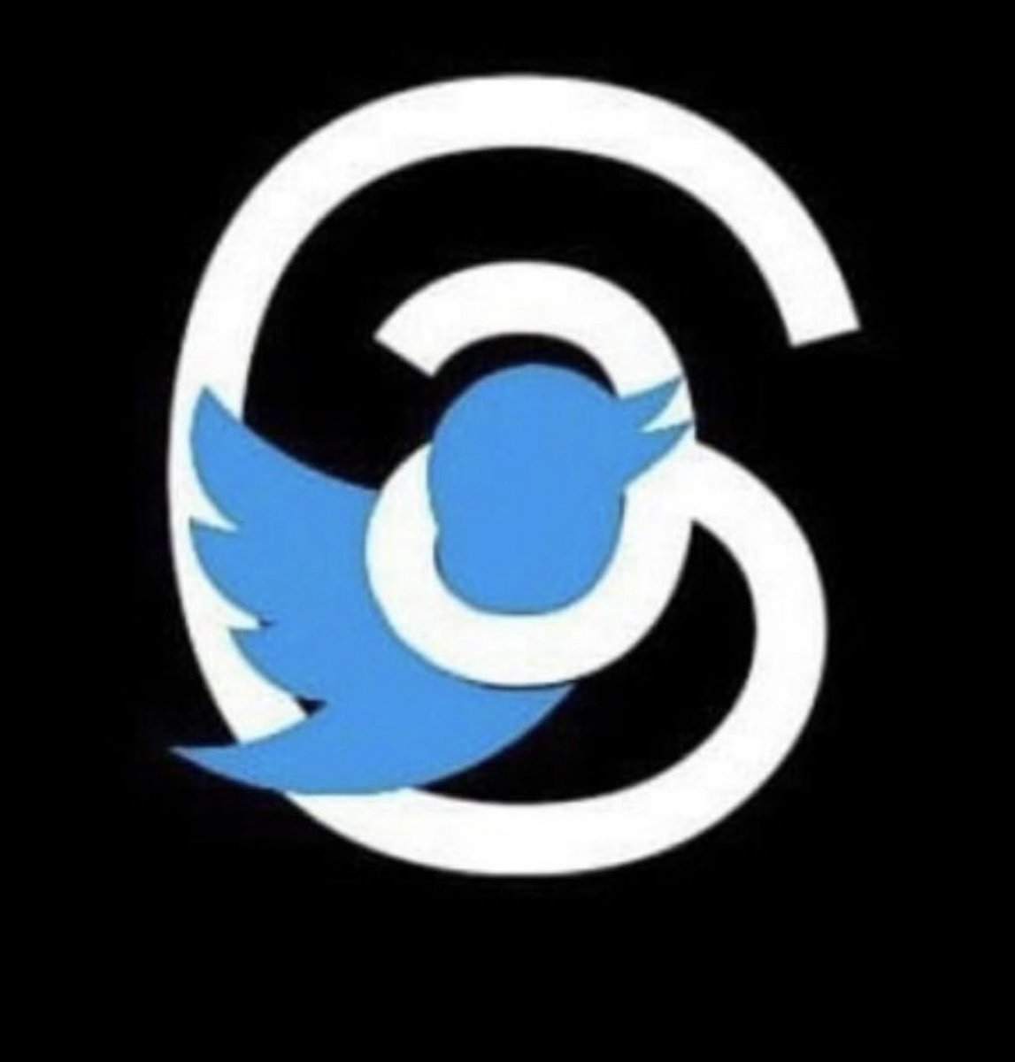 Angela Acres tweet media