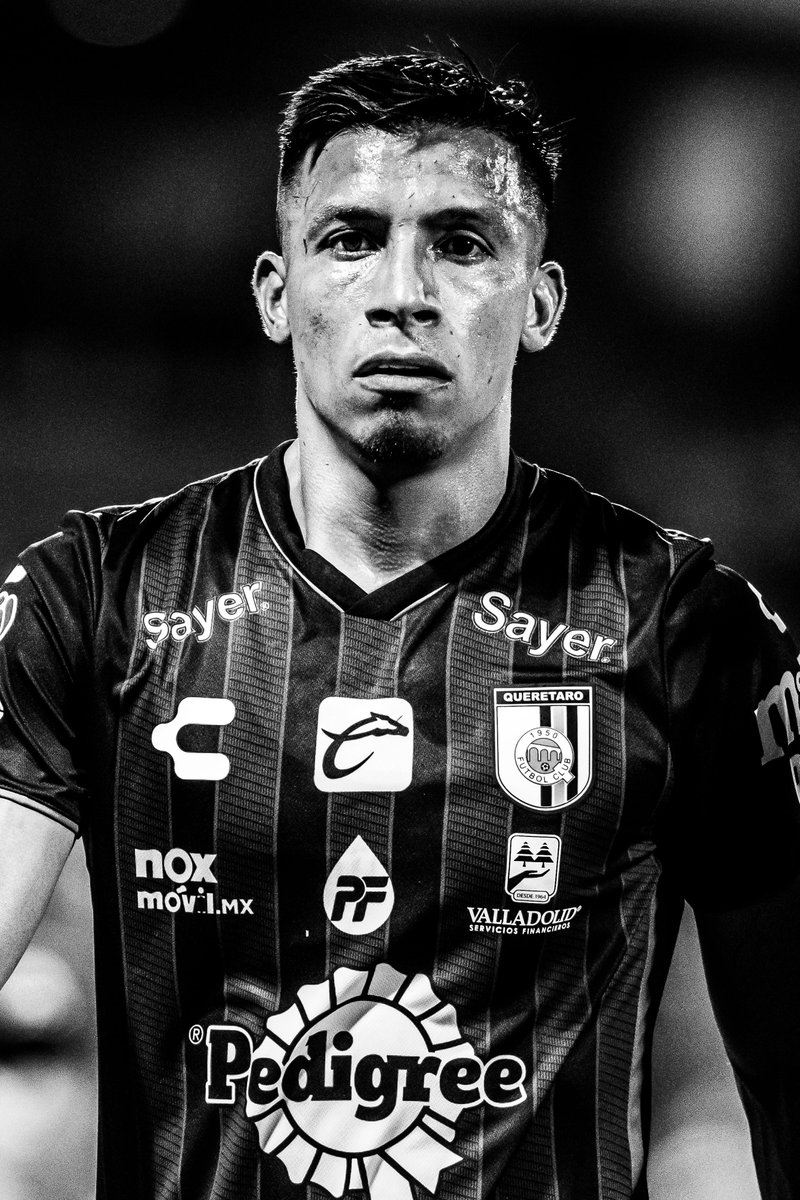 CharlyFutbol's tweet photo. CHARLY Fútbol te invita al juego de @Club_Queretaro en esta J2. 🐔 

1️⃣ Debes de seguir @CharlyMxOfi y @Charly_USA_ 

2️⃣ Darle 🔁 y ❤️ a este tweet. 

3️⃣ Por último, menciona correctamente  los siguientes datos de nuestro goleador  👉⚽️  @AngelbsepuAngel: 
- Fecha de nacimiento. 
- Equipo en el que debutó. 
- Goles con Selección Mexicana. ⚽️🇲🇽

¡Éxito a todos, Gallos!

Los ganadores serán contactados mediante DM el día de mañana 8 de julio en punto de las 12:00 pm 🕛

@CharlyMxOfi | #CHARLYFútbol | #Somos🔵⚫️