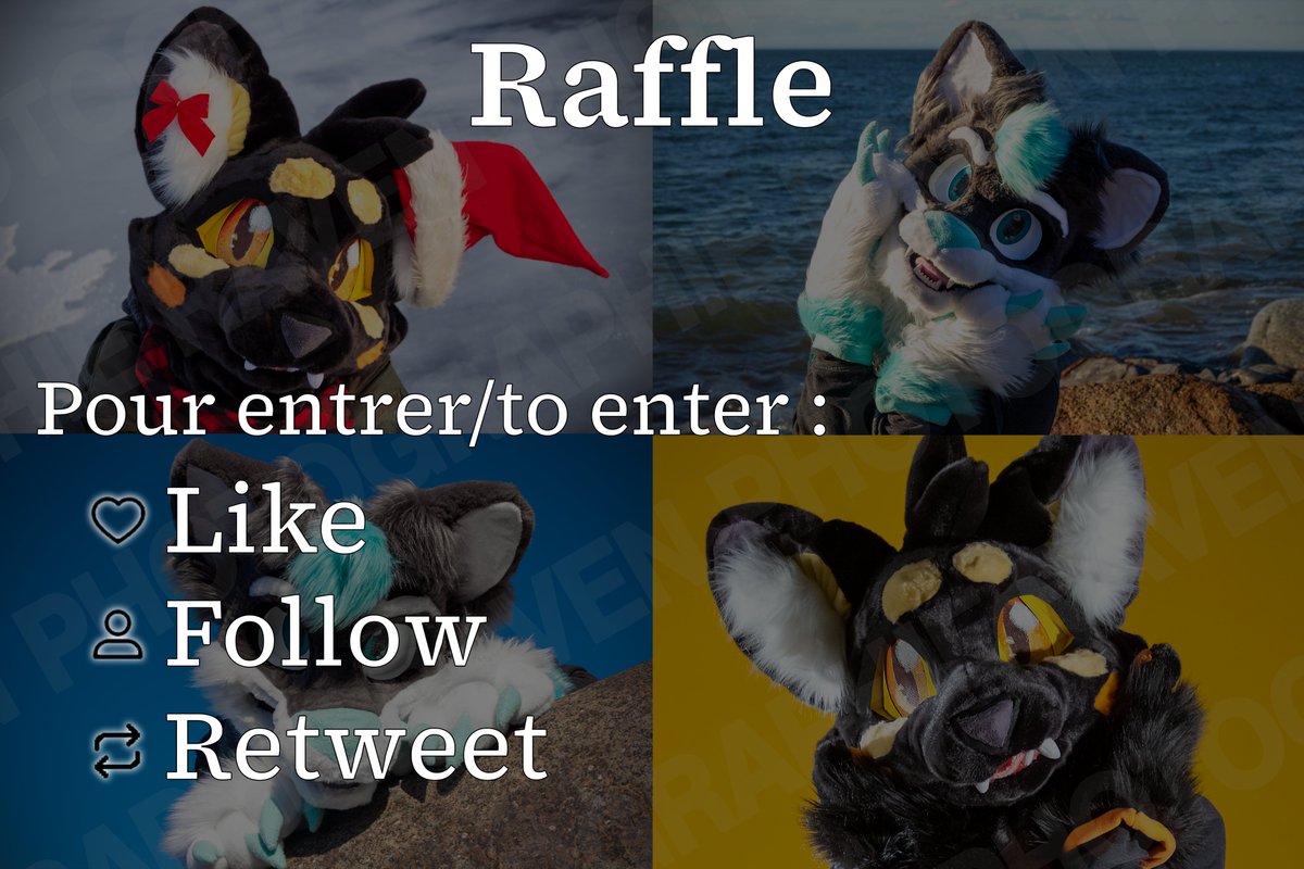 Pirotix_media's tweet photo. J'organise un petit concours pour célébrer le début de mon petit projet🥰

Je vous offre une séance de photo gratuite à Ottawa pendant Canfurence.

Pour participer vous n'avez qu'à :
Like
Follow
Retweet

Le concours prendra fin le 21 juillet à 18h. https://t.co/6o9uH2xlbX