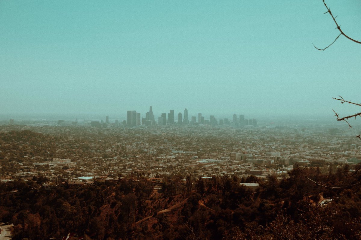 Capturing the essence of LA! ✨🎥 From breathtaking drone shots to iconic landmarks like the Hollywood Sign, our creative services agency is here to bring your visions to life. Lights, cameras, action! 🌟 #Filmmaking #CreativeServices #ContentCreator #Drone #Photography
