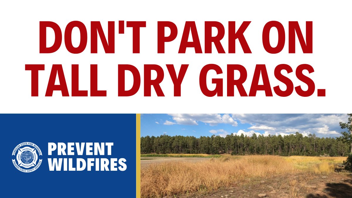 🚫 Parking on tall, dry grass is not a good idea.

Dry grass can easily catch fire, and the flames can spread pretty quickly. Choose safe parking areas like designated lots or paved surfaces instead. Let's work together to reduce human-caused wildfires.

#WildfirePrevention