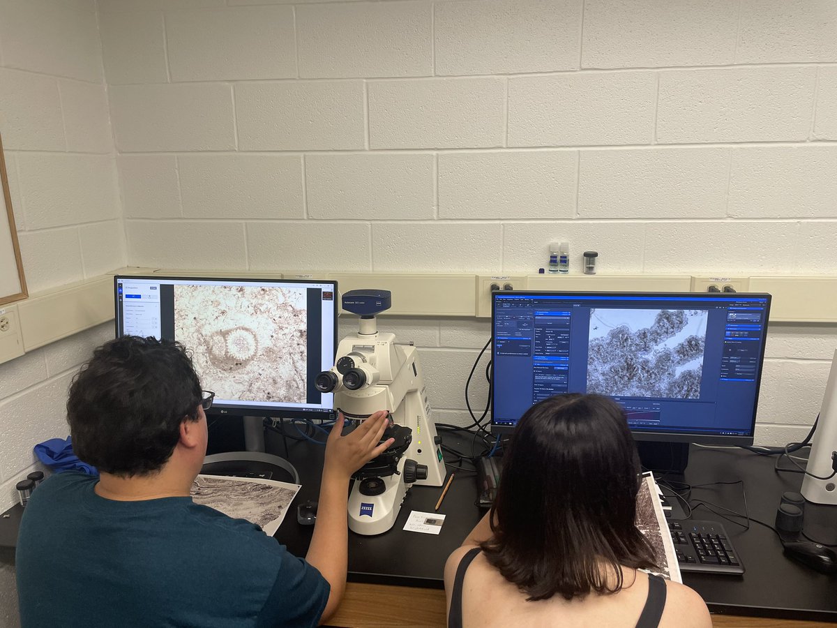 Mac Best tweet media