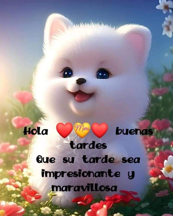 LupeRuiz02's tweet photo. https://t.co/hb7stcPKNg