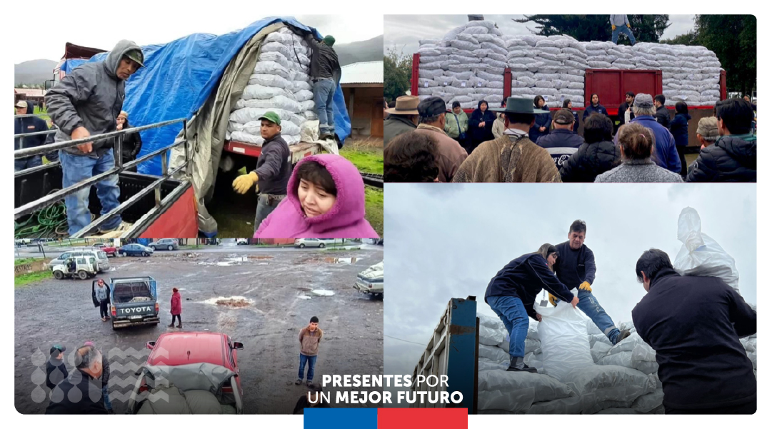 Estamos desplegados apoyando a las y los agricultores con el #PlanDeRecuperación 👩‍🌾👨‍🌾

Desde el <a href="/MinagriCL/">Ministerio de Agricultura de Chile 🇨🇱</a> ya hemos entregado más de 445 toneladas de alimentación animal, a través de <a href="/Sub_Agricultura/">Subsecretaría de Agricultura</a> e <a href="/INDAP_Chile/">INDAP_Chile</a>, en las regiones afectadas por las lluvias e inundaciones.