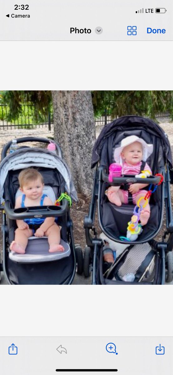 Arabella and Harper at the zoo with their parents and grandparents a fun afternoon!!