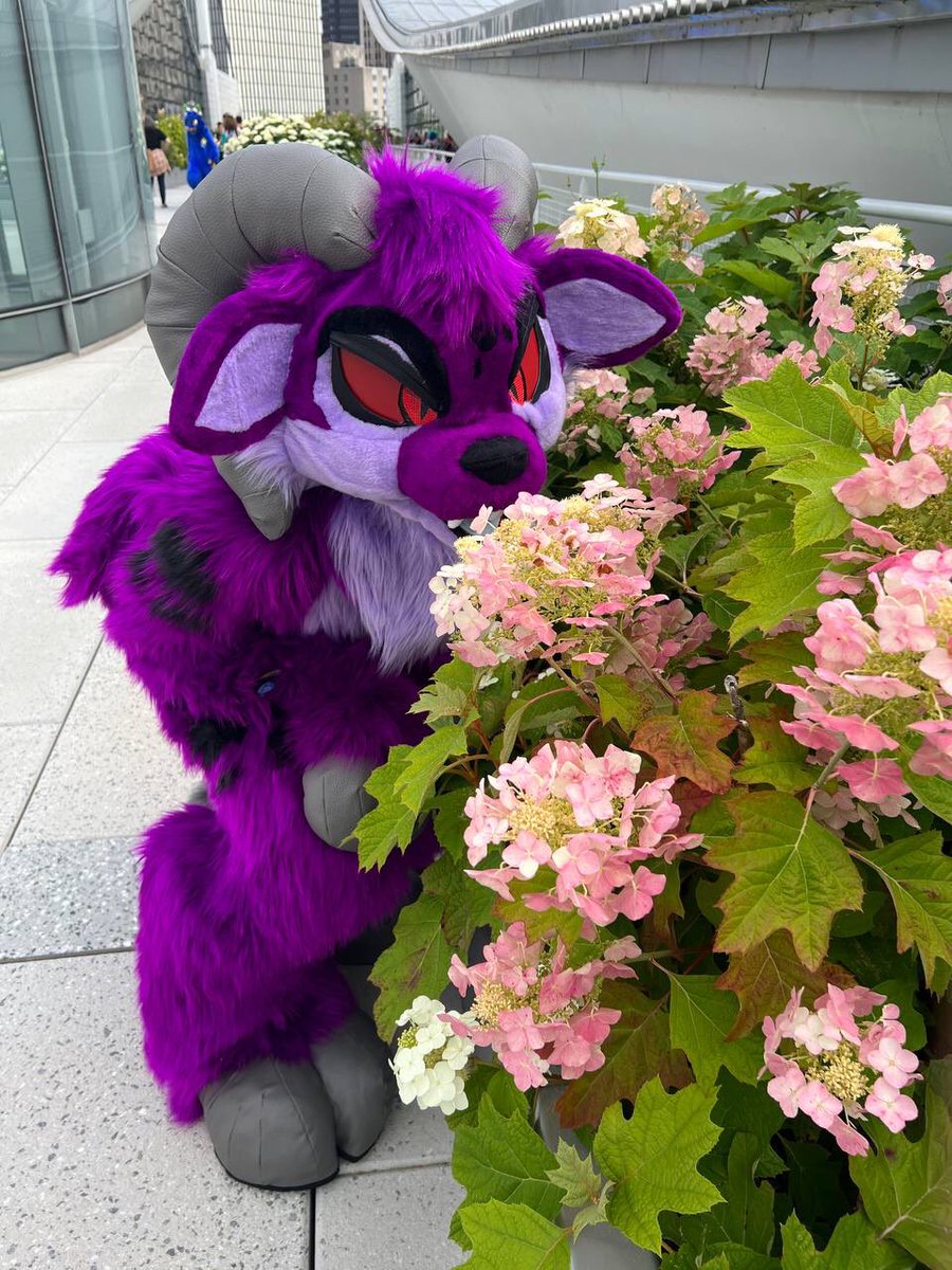 Chloe@🐎🏫 tweet media