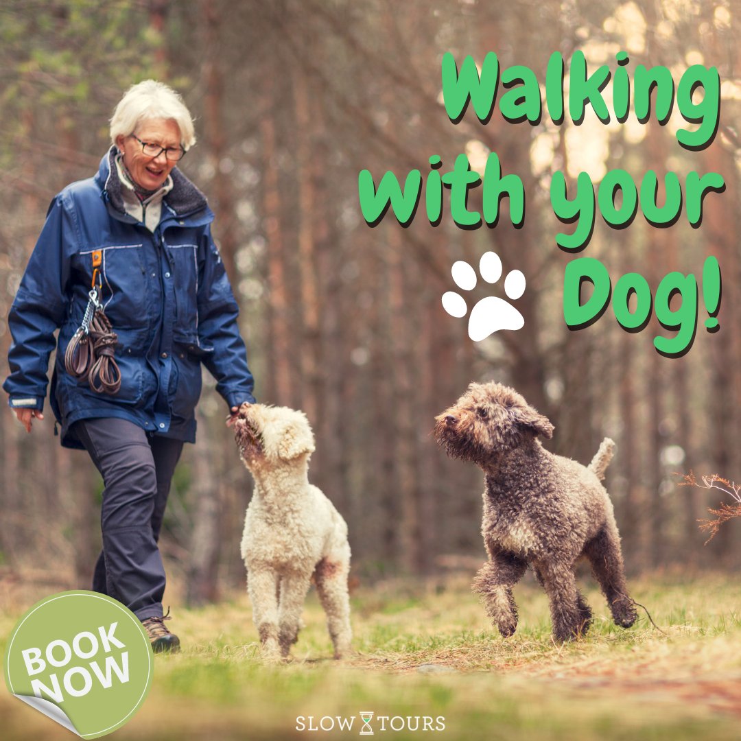 Did you know on some of our Walking tours you can bring your four legged friend? 🐾

Make your walking tour more memorable! 
Contact us today to find out more!

#slowtours #dogs #europe #walkingwithdogs #walkingtours #travel