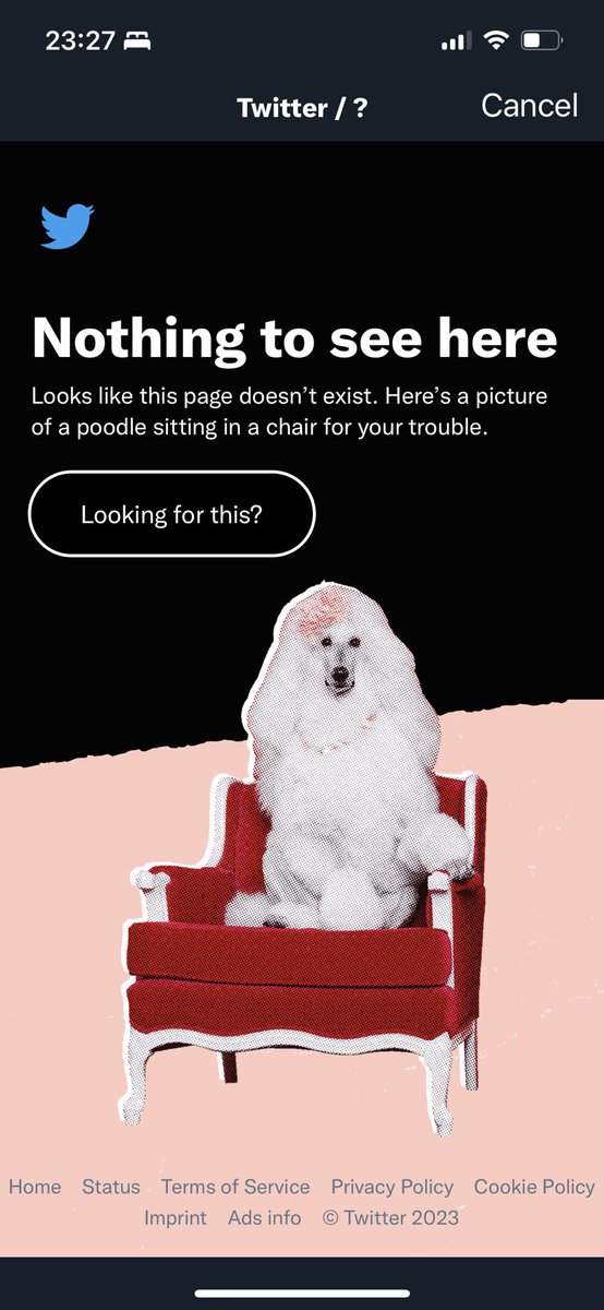 Jodixie's tweet photo. So I just tried to report 2 very sick posts and I got this?? @elonmusk what is going on? Freaked me out https://t.co/kz7M3VHpbF