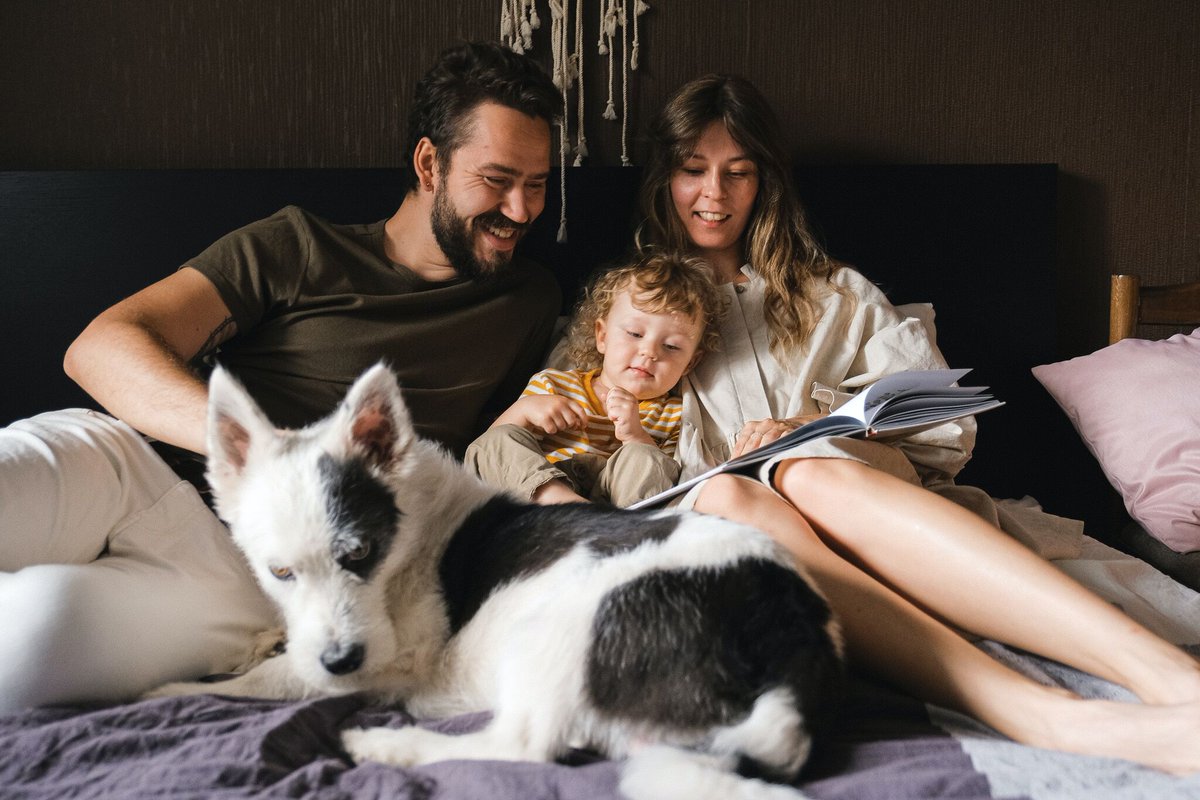 FEPLG's tweet photo. Ensure the well-being of your furry friends with our comprehensive pet planning guide! 🐶🐱 From estate considerations to emergency care, we've got you covered. Don't miss out on our latest blog post. Check it out here:

https://t.co/piskBXmoCq https://t.co/v0hNam7Lw7