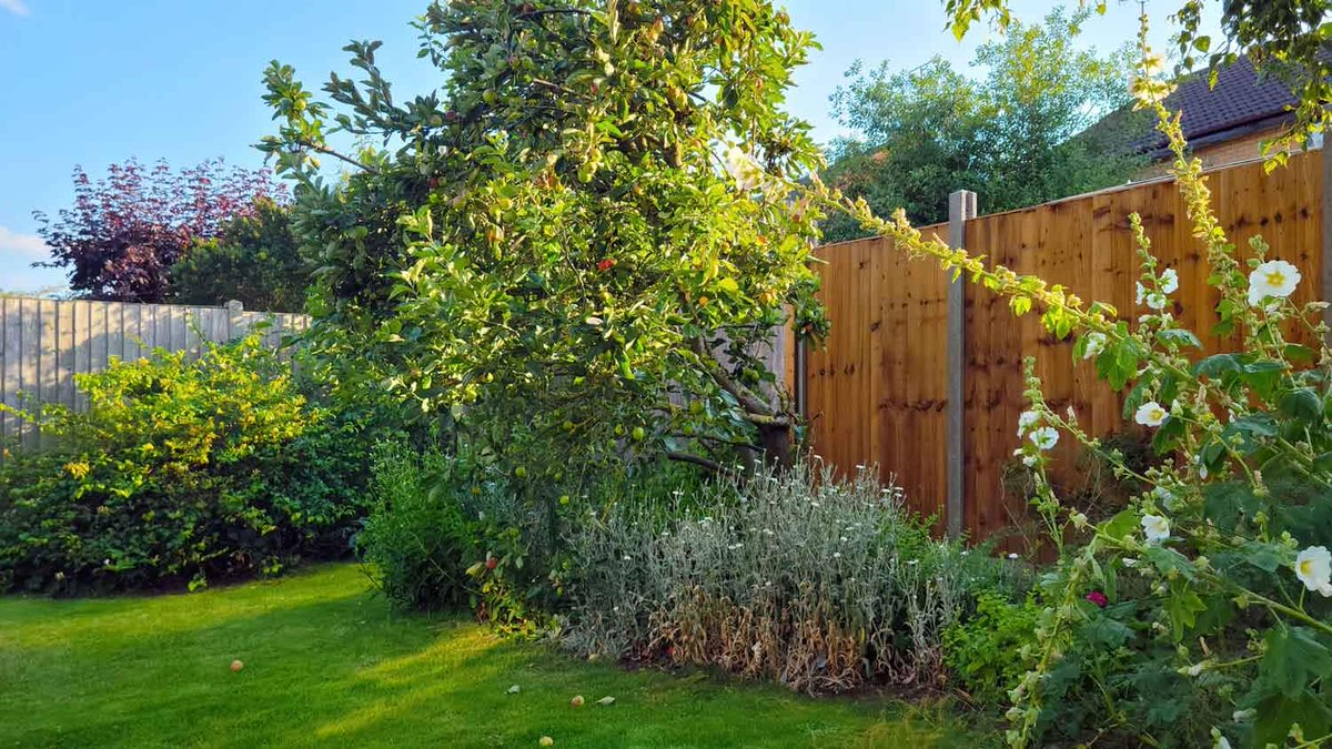 Do either of these fence types appeal to you? Here's what to know about them before choosing one. #outdoors #hometips  cpix.me/a/173103117