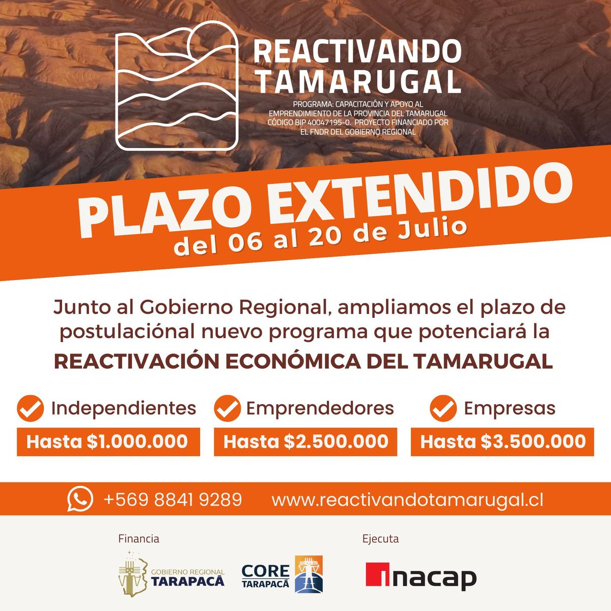 Gore_Tarapaca's tweet photo. #Emprendimiento☀️

PLAZO EXTENDIDO‼️: Hasta el jueves 20 de julio postula al programa #Reactivando #Tamarugal, una iniciativa dirigida a independientes, dueños de emprendimientos o propietarios de empresas. 
📱 https://t.co/RU3CeozZyP

✅Financia:@Gore_Tarapaca
✅Ejecuta: #Inacap https://t.co/aB5Eez0pzN
