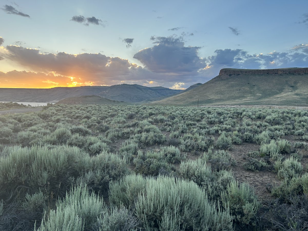 One of the wonderful things about Curecanti is that the beauty of the scenery changes throughout the day and night, with each passing season, person, and animal, from every angle you look at it, and more.

“The land retains an identity of its own.” – Barry Lopez, Arctic Dreams