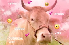 EclipseGamingES's tweet photo. si Duquesa tiene 5 millones de fans yo soy una de ellos, si Duquesa tiene 100 fans yo soy una de ellos, si Duquesa tiene 1 fan, esa soy yo, si Duquesa no tiene ningún fan es porque yo ya no estoy en este mundo #Missvaca2023 https://t.co/lbcc4LtG2a