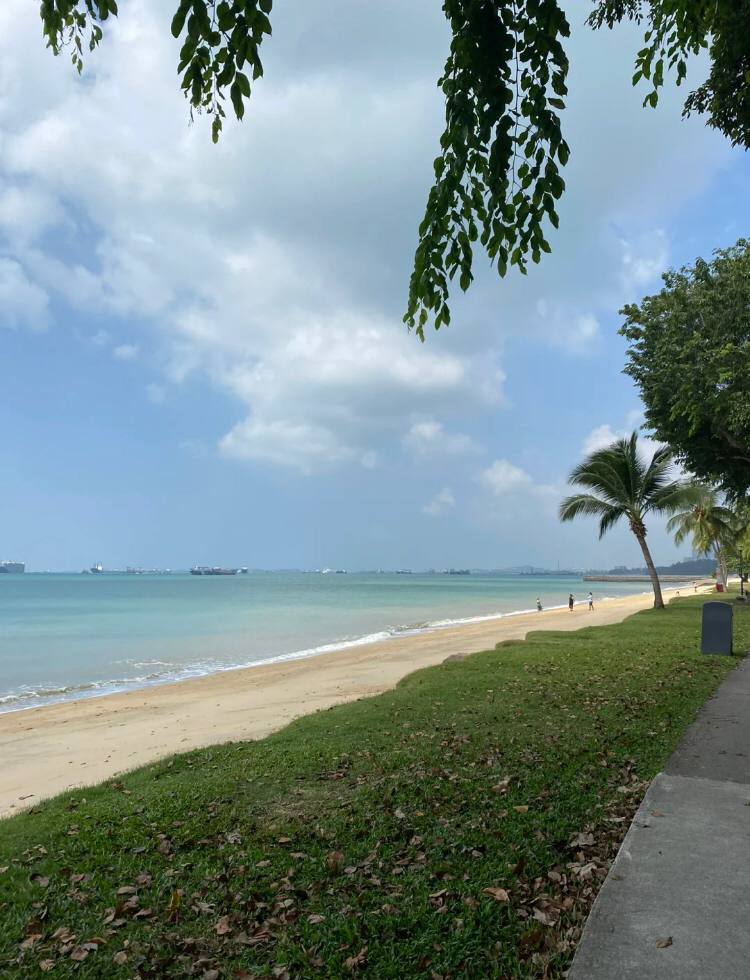 Alice355641's tweet photo. I like to go for a walk by the beach and feel the breath of the sea. https://t.co/R31duq1SRF