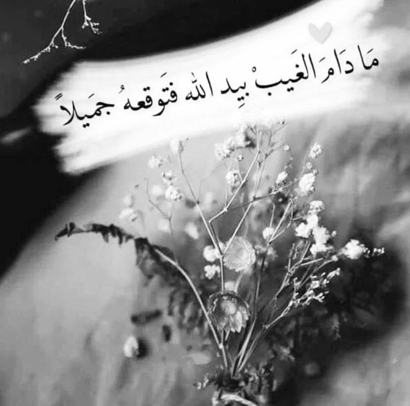 ﮼بسمة﮼أمل🌸✨دخول متقطع✨ tweet media