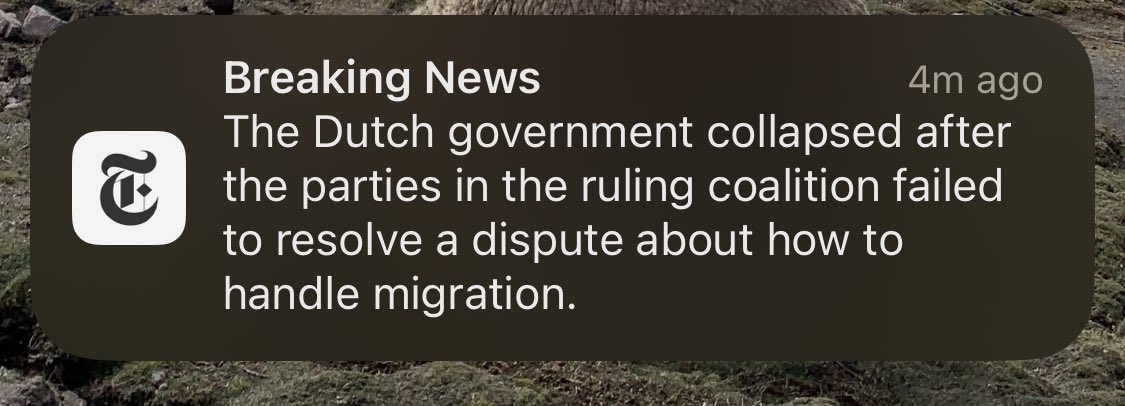 Forever_Wario's tweet photo. How the fuck is migration crisis real bro just take them and let them fix your economy lmao https://t.co/8fzRsGxWeR
