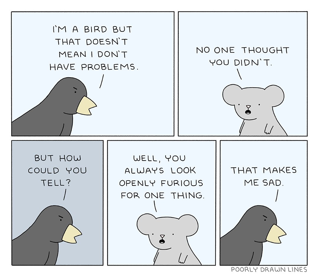 bird's problems