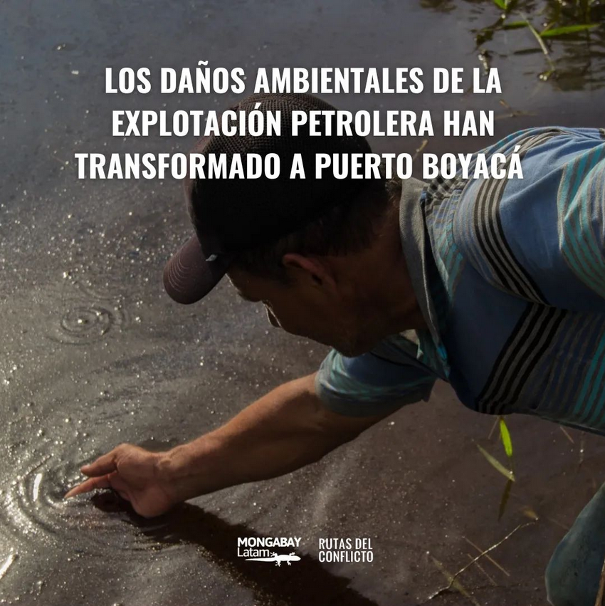 LetraCertera's tweet photo. En #PuertoBoyacá, la actividad petrolera es responsable de 109 de los sitios contaminados, de los cuales 37 corresponden a la empresa Mansarovar Energy según datos proporcionados por la ANLA.

📌 Lea la nota completa en el siguiente link
https://t.co/mrcKf8adRK

#Boyacá https://t.co/cBlNXJpQxN