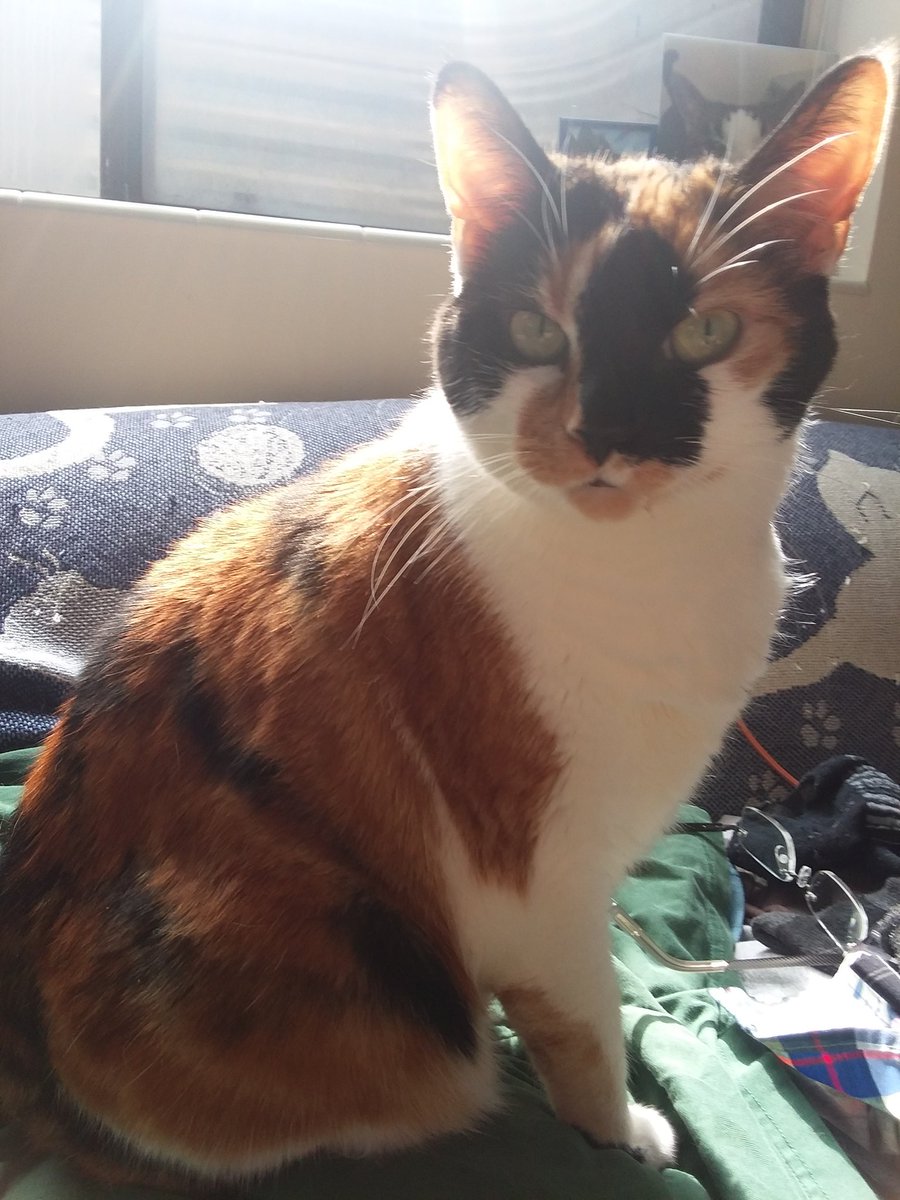 Jackson Blasphemy tweet media